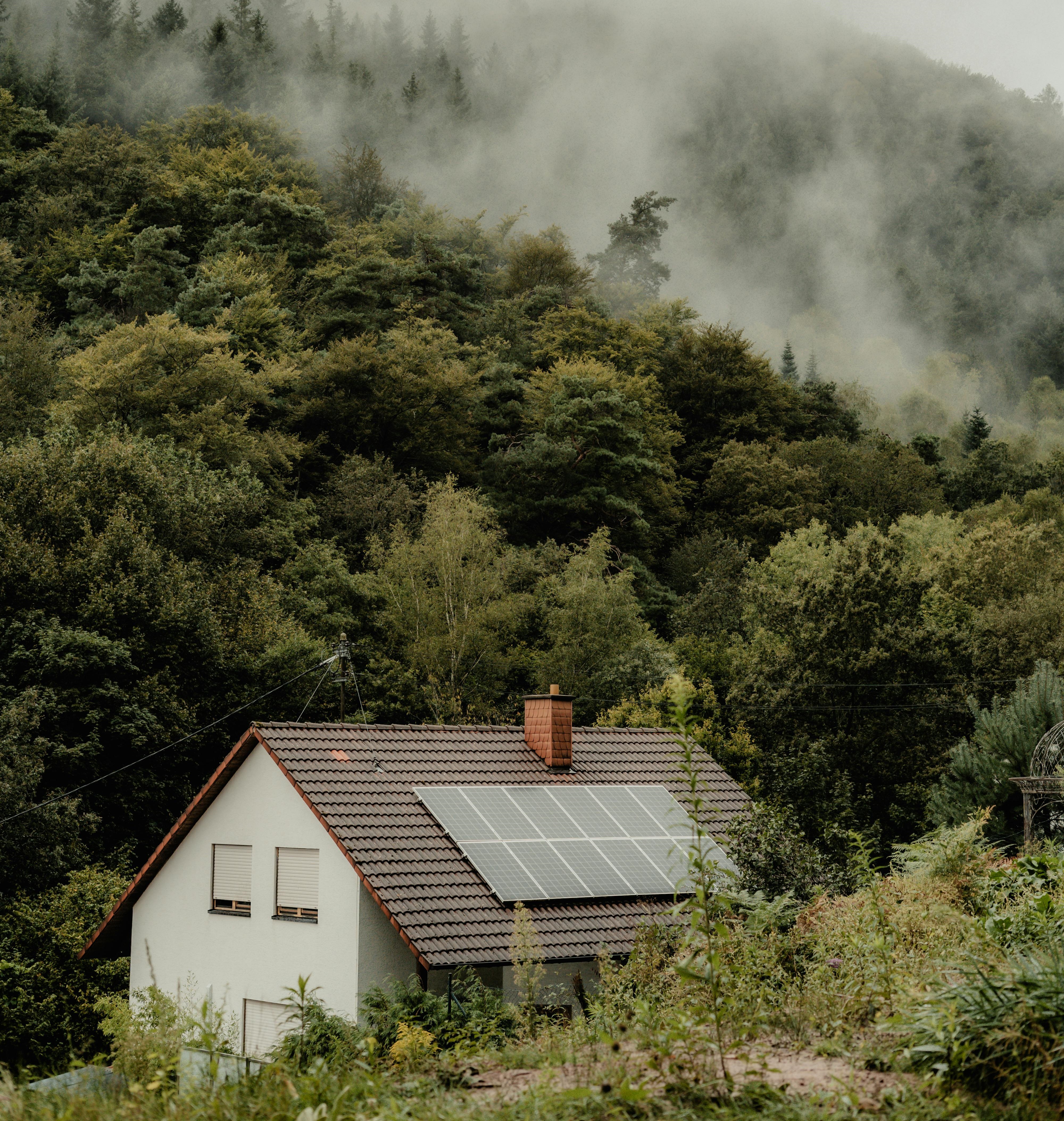 house in a forest with solar panels on the roof