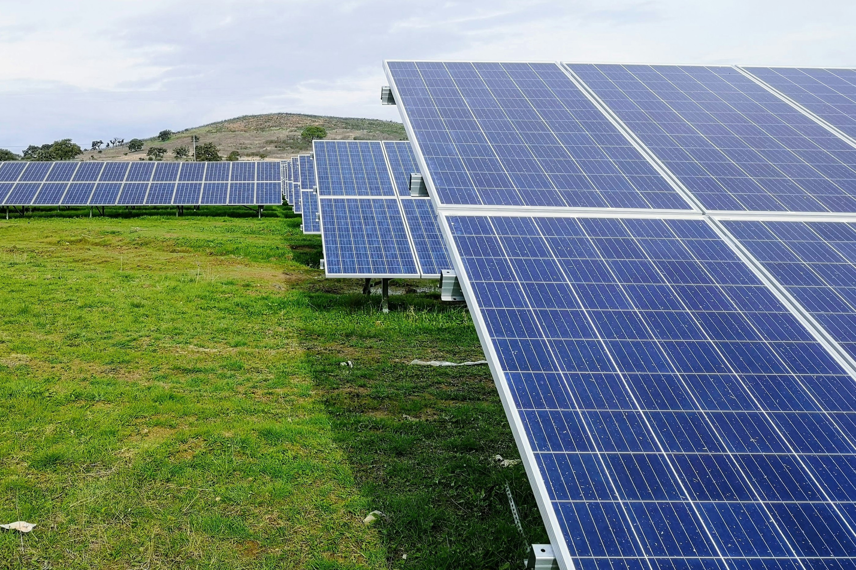 solar panels on the field